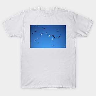 Free As The Birds T-Shirt